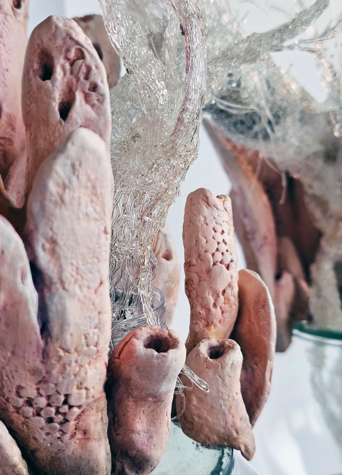 Microplastic Body Columns: Clathria Sp.01