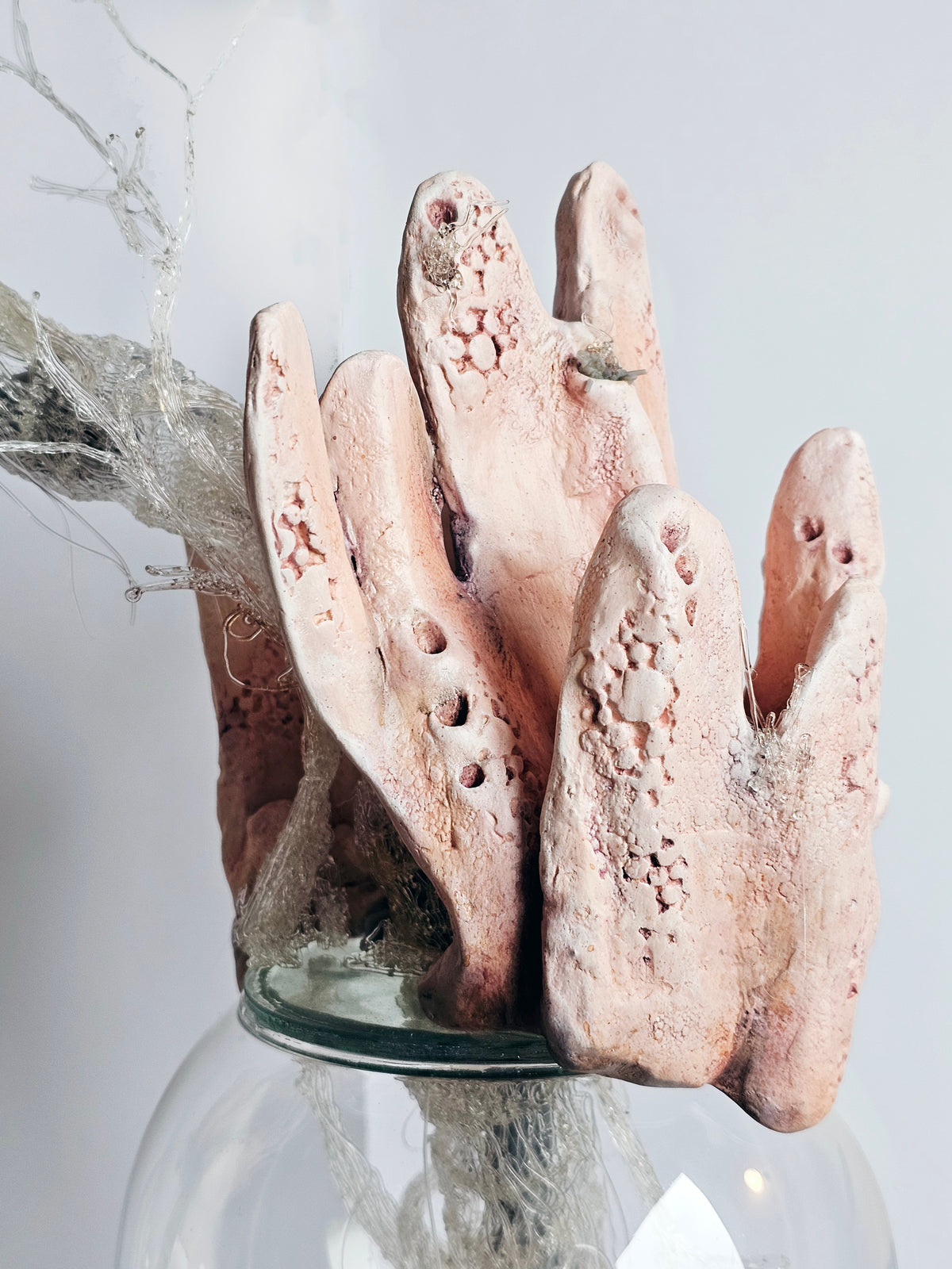 Microplastic Body Columns: Clathria Sp.01