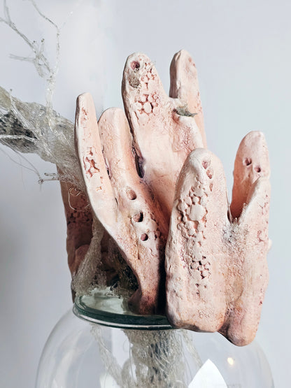 Microplastic Body Columns: Clathria Sp.01