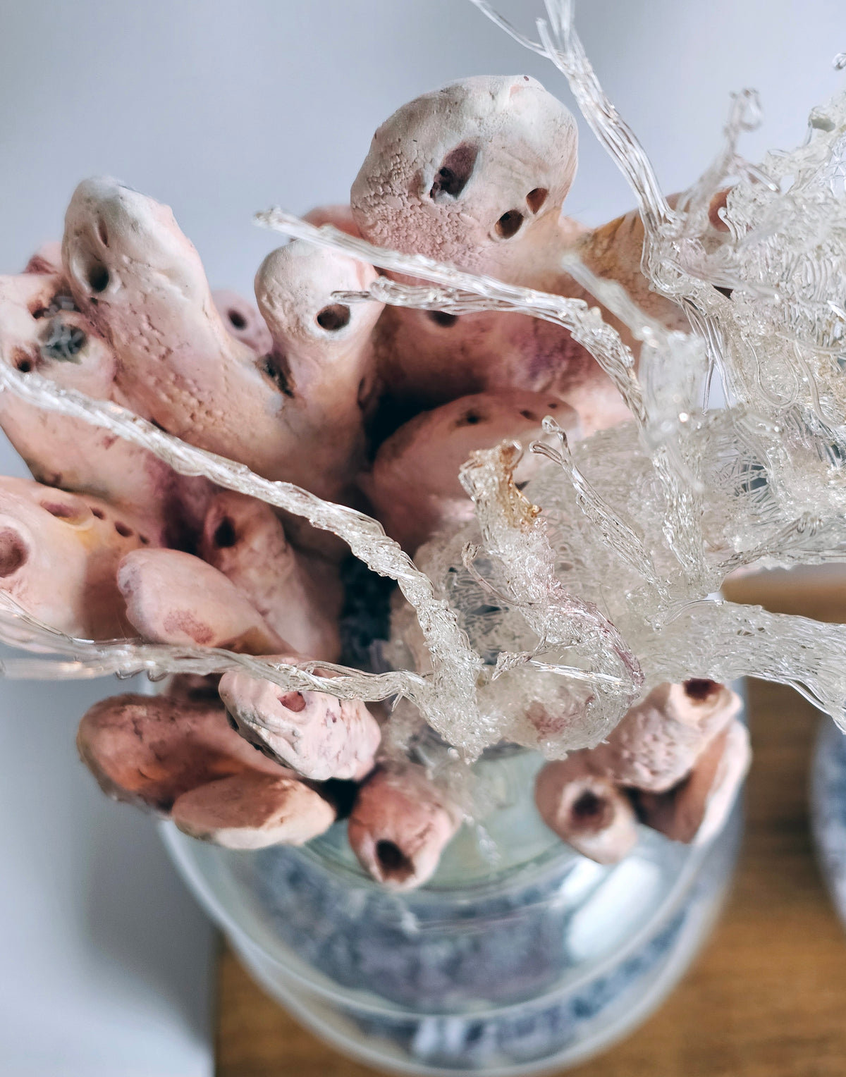 Microplastic Body Columns: Clathria Sp.01