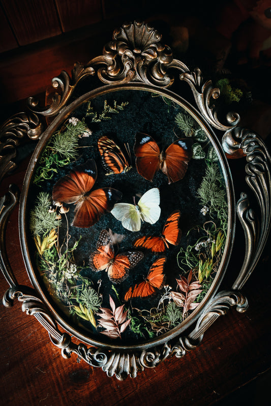 Frame vintage - Brass Italian Gothic bubble frame with butterflies
