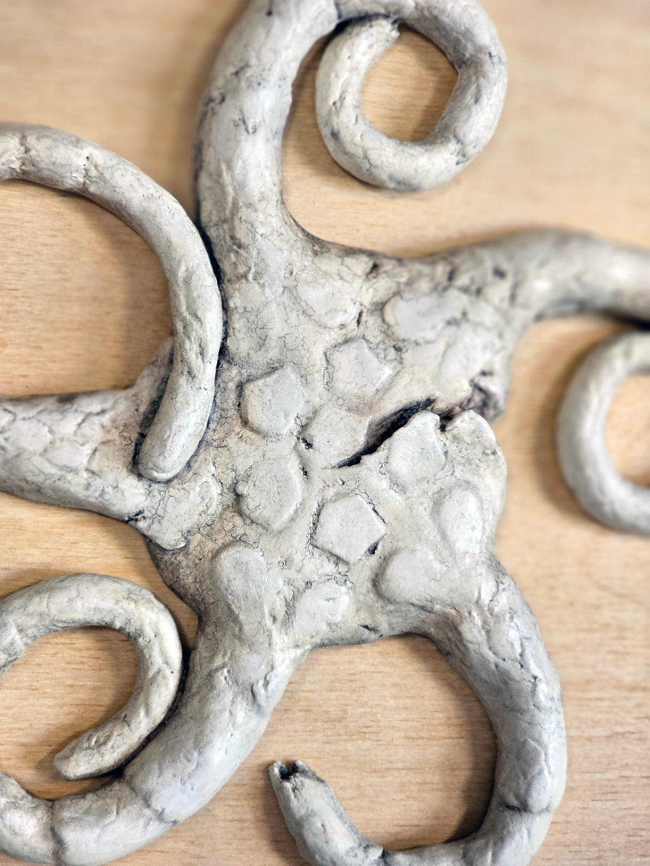 Gathered with Care: Brittle Starfish II