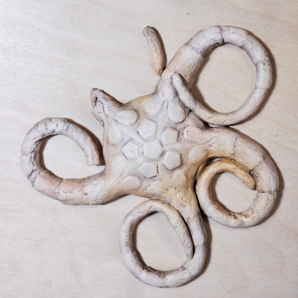 Gathered with Care: Brittle Starfish I