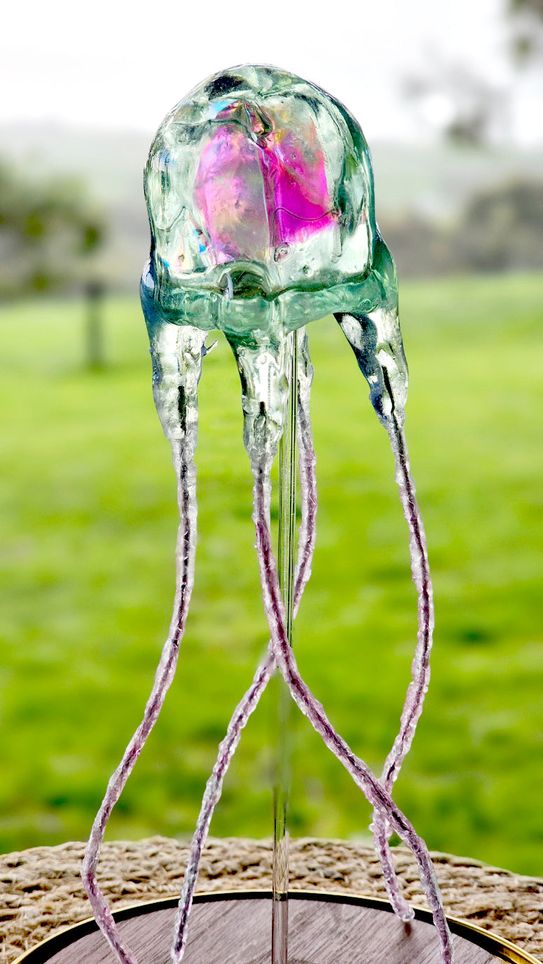 Jimble jellyfish in glass dome (26cm)