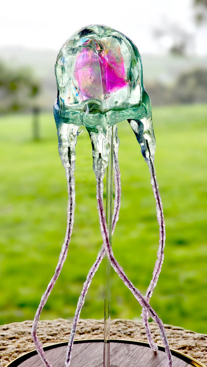 Jimble jellyfish in glass dome (26cm)
