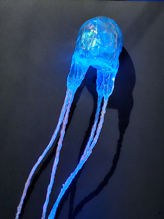 COMING SOON - Jimble jellyfish in glass dome