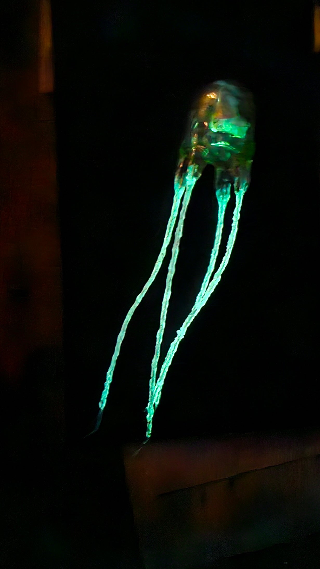 COMING SOON - Jimble jellyfish in glass dome