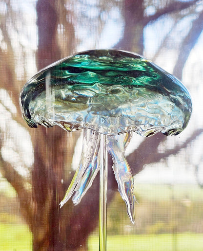 COMING SOON - Moon jellyfish pair in glass dome