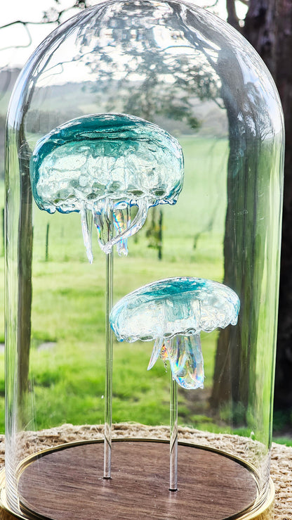 Moon jellyfish pair in glass dome (26cm)