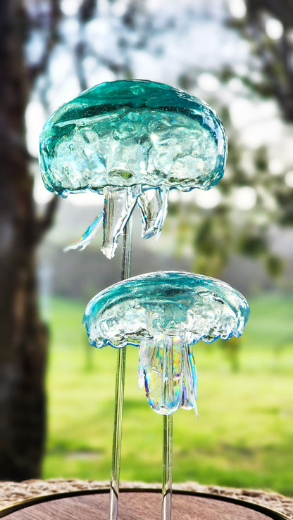 Moon jellyfish pair in glass dome (26cm)