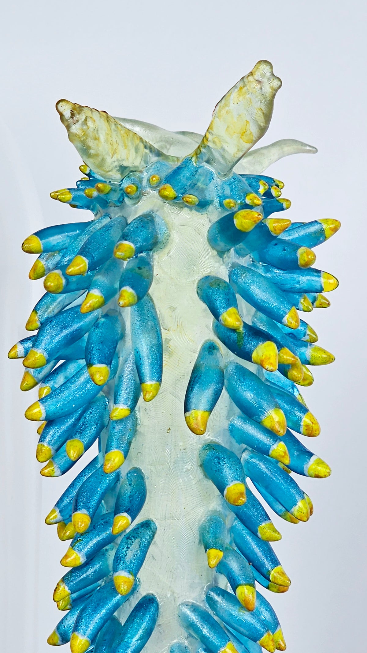 Irony Specimen: Nudibranch Berghia