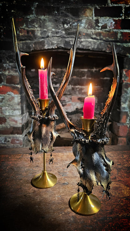 Candle holder - Roe deer skull on brass