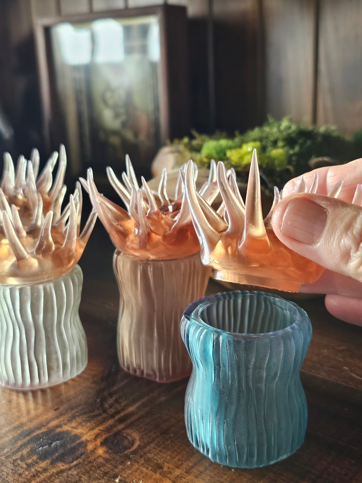 COMING SOON - Sea Anemone pots