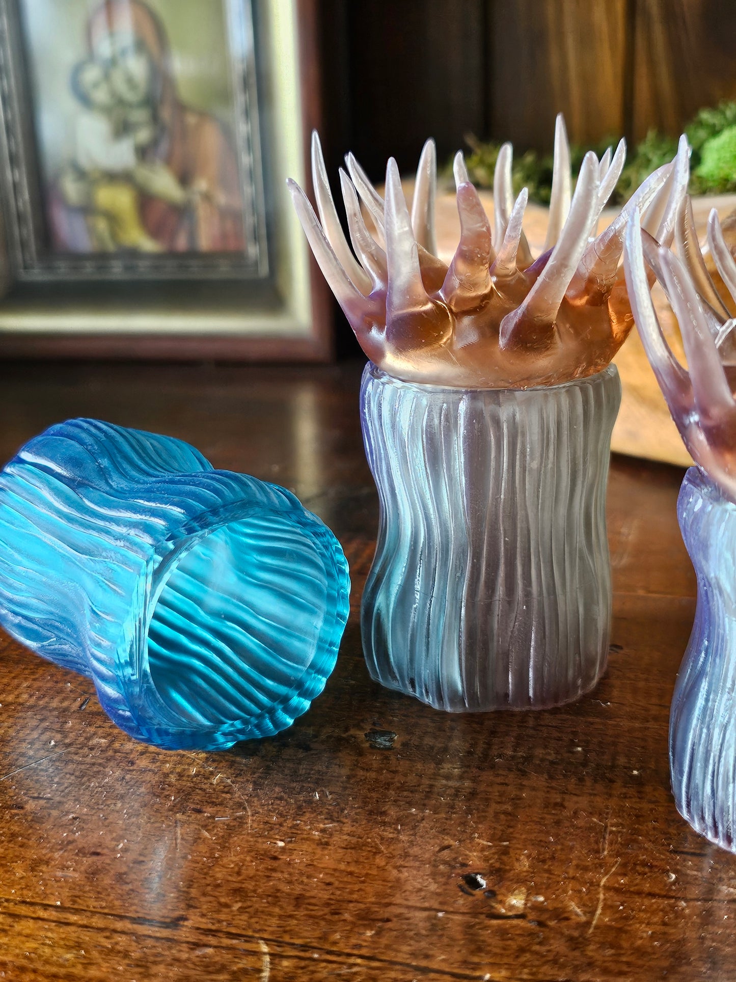 COMING SOON - Sea Anemone pots