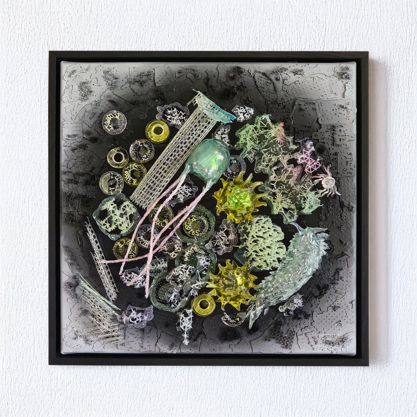 Taxonomies II - Sea Anenome