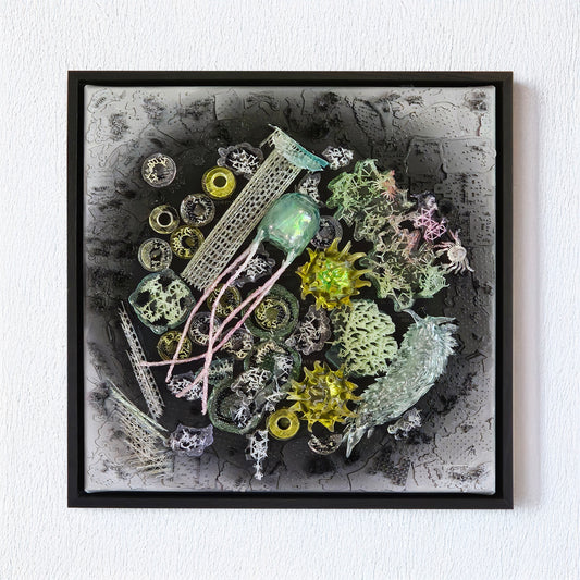 Taxonomies II - Sea Anenome
