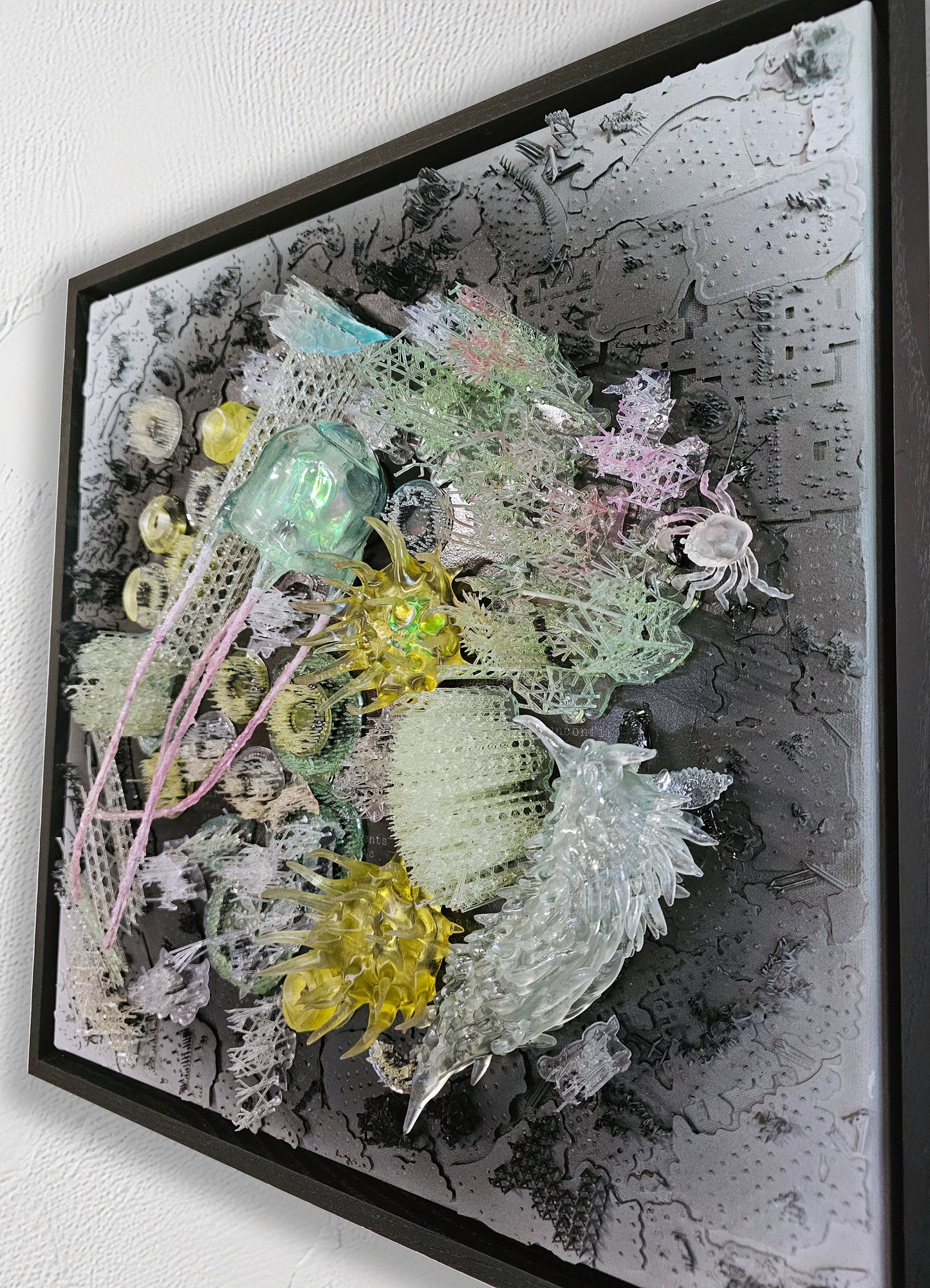 Taxonomies II - Sea Anenome