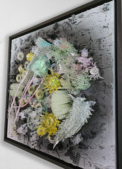Taxonomies II - Sea Anenome