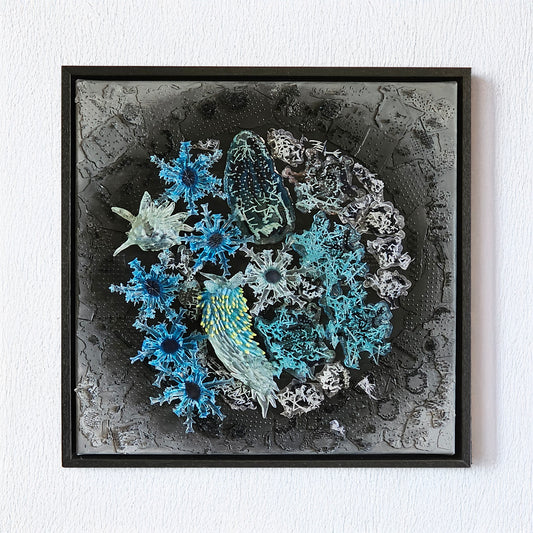 Taxonomies II - Sea Cucumber