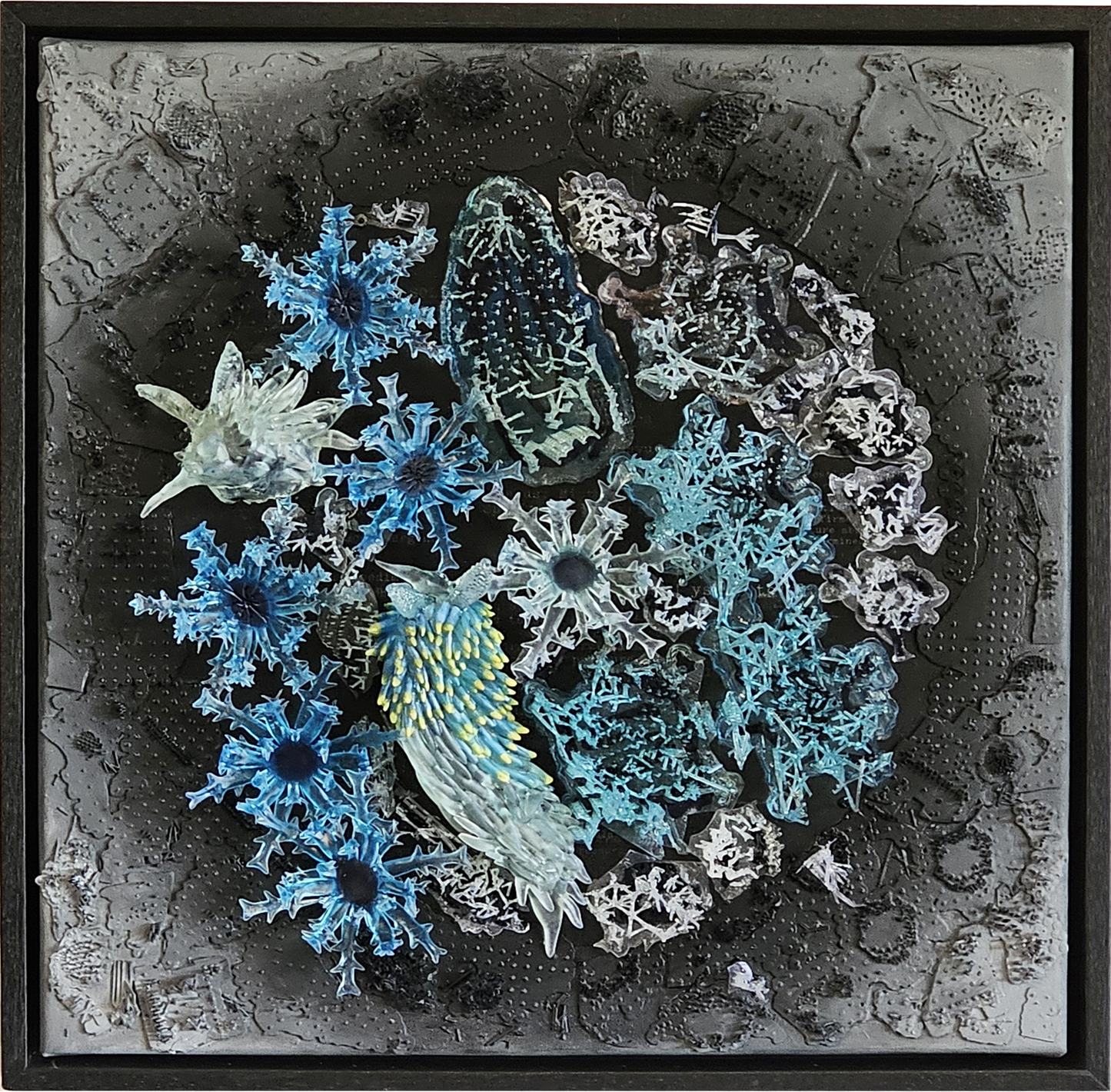 Taxonomies II