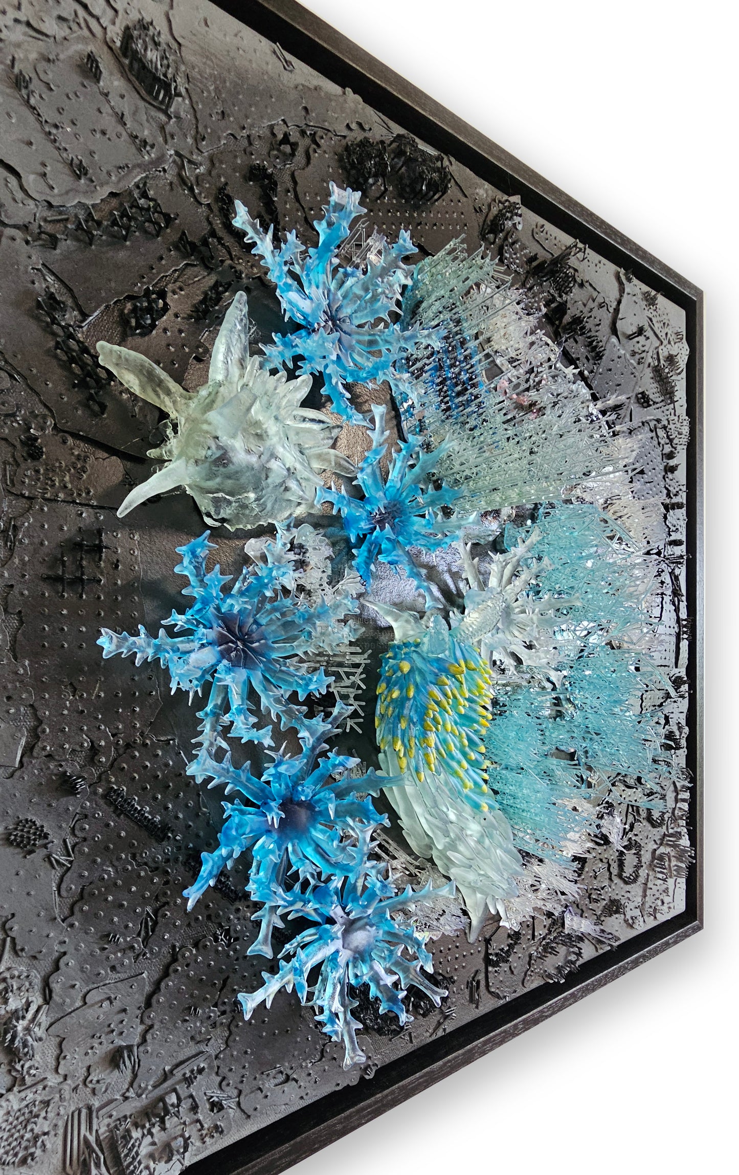 Taxonomies II