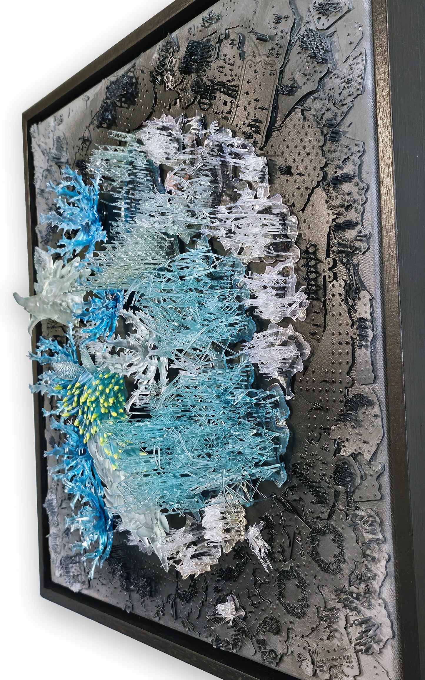 Taxonomies II