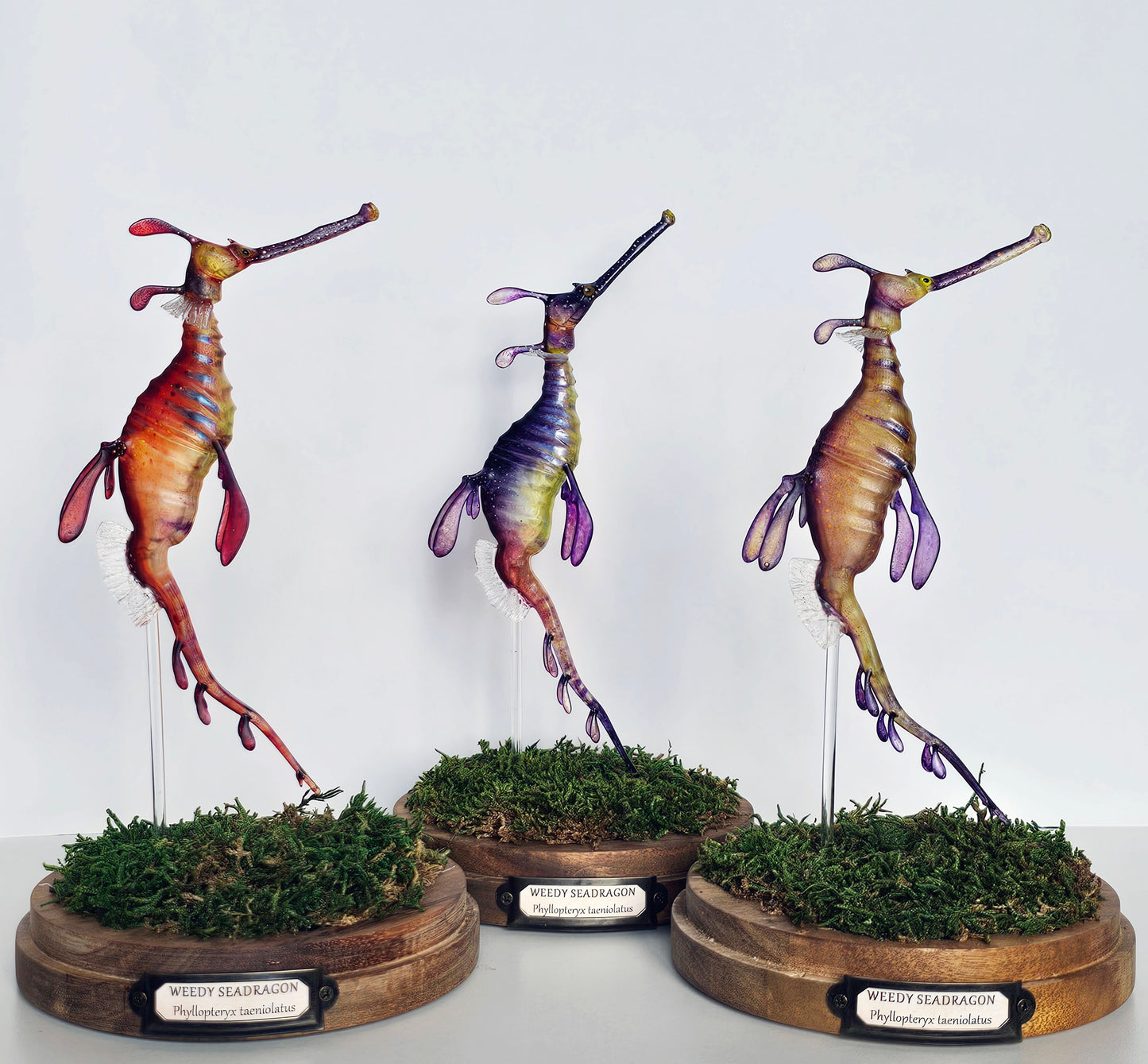 Irony Specimen: Weedy Seadragon (purple)