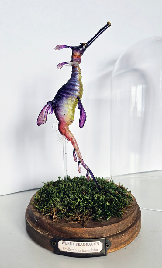 Irony Specimen: Weedy Seadragon (purple)
