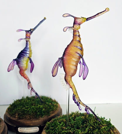 Irony Specimen: Weedy Seadragon (yellow)