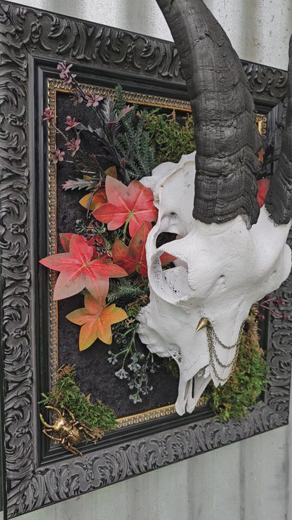 Skull - real Goat on black frame gothic style