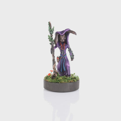 COMMISSION REQUEST for Hare-kin Rogue model