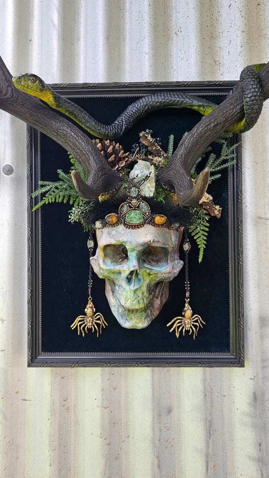 Deer antlers - 'Ancients Lost vii' fallow deer with human-sized skull and snake art