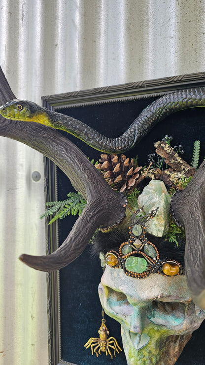 Deer antlers - 'Ancients Lost vii' fallow deer with human-sized skull and snake art