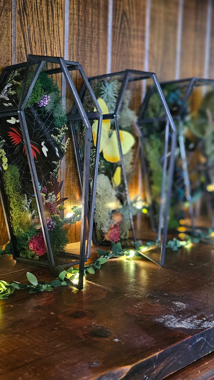 Butterfly coffin terrarium - glass box (19cm)