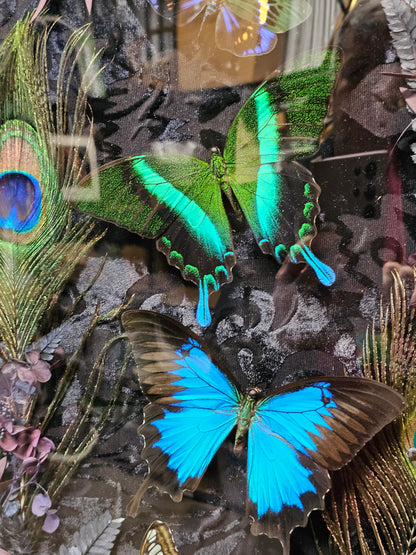 Frame vintage - with Blue Green butterflies