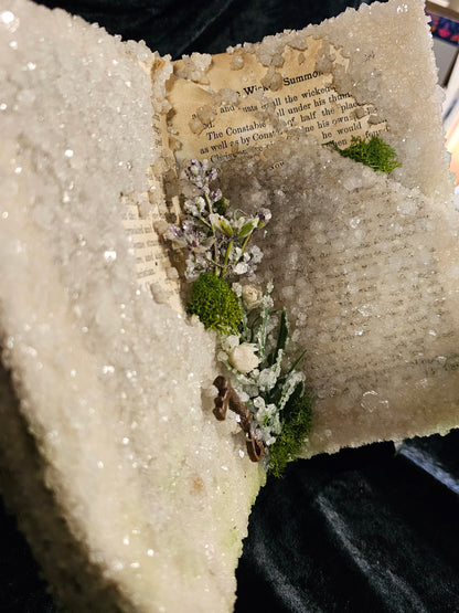 Tales from Chaucer (1930s) - crystalized vintage book