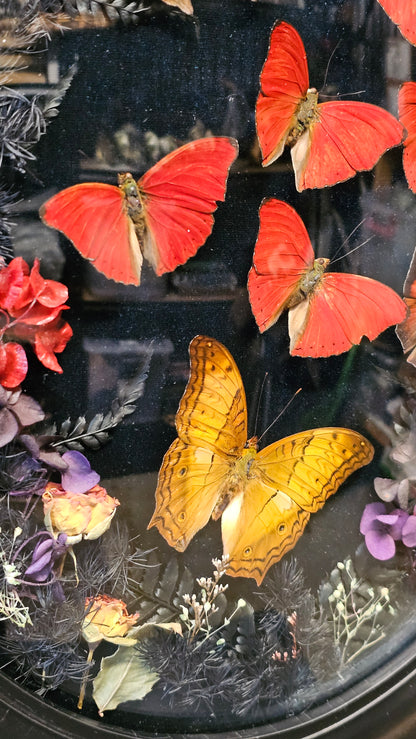 Frame vintage - with Red Sangria butterflies