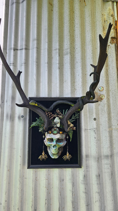Deer antlers - 'Ancients Lost vii' fallow deer with human-sized skull and snake art
