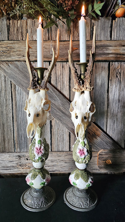 Candle holder - real skull on vintage candle stick