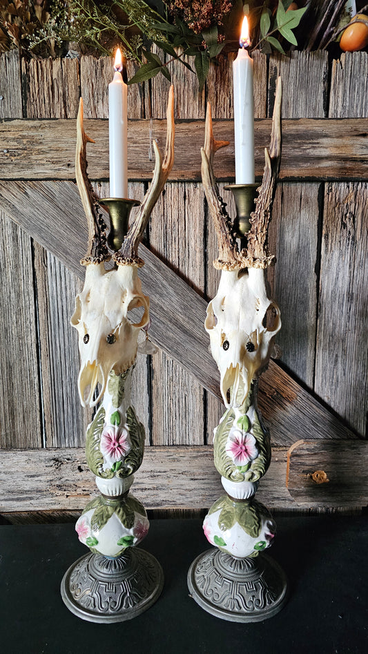 Candle holder - real skull on vintage candle stick