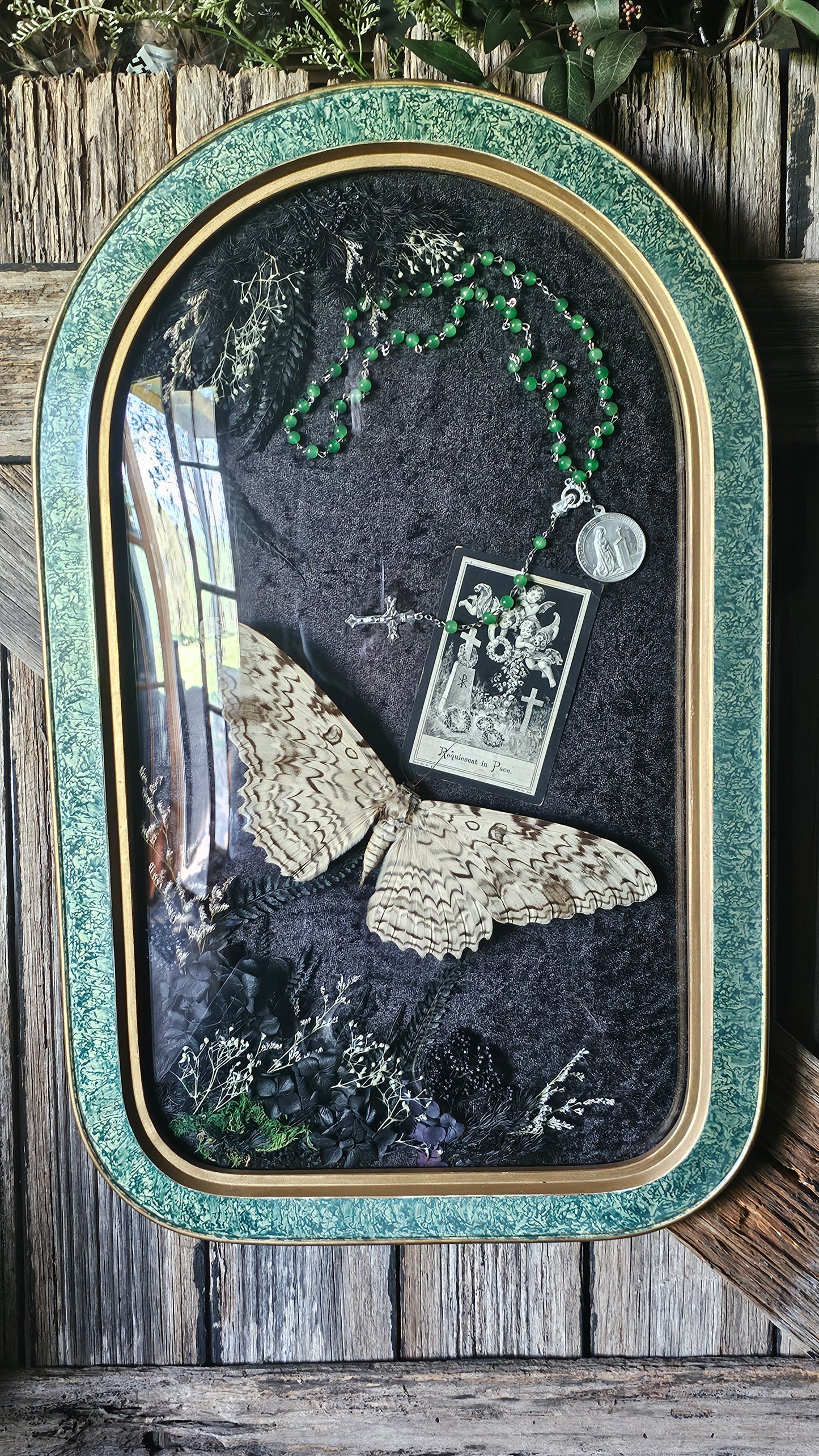 Frame vintage - Victorian Gothic bubble frame with White Witch Moth