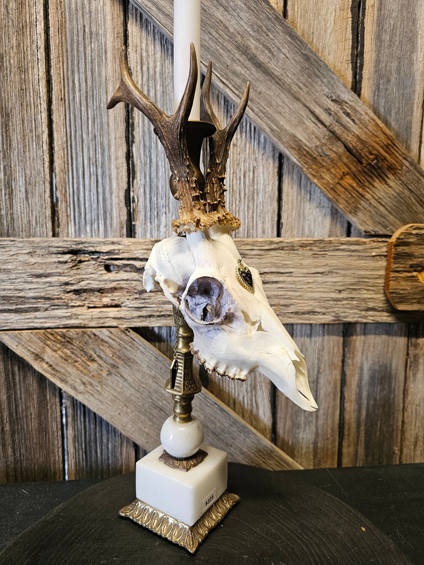 Candle holder - real roe deer skull on brass vintage candle stick