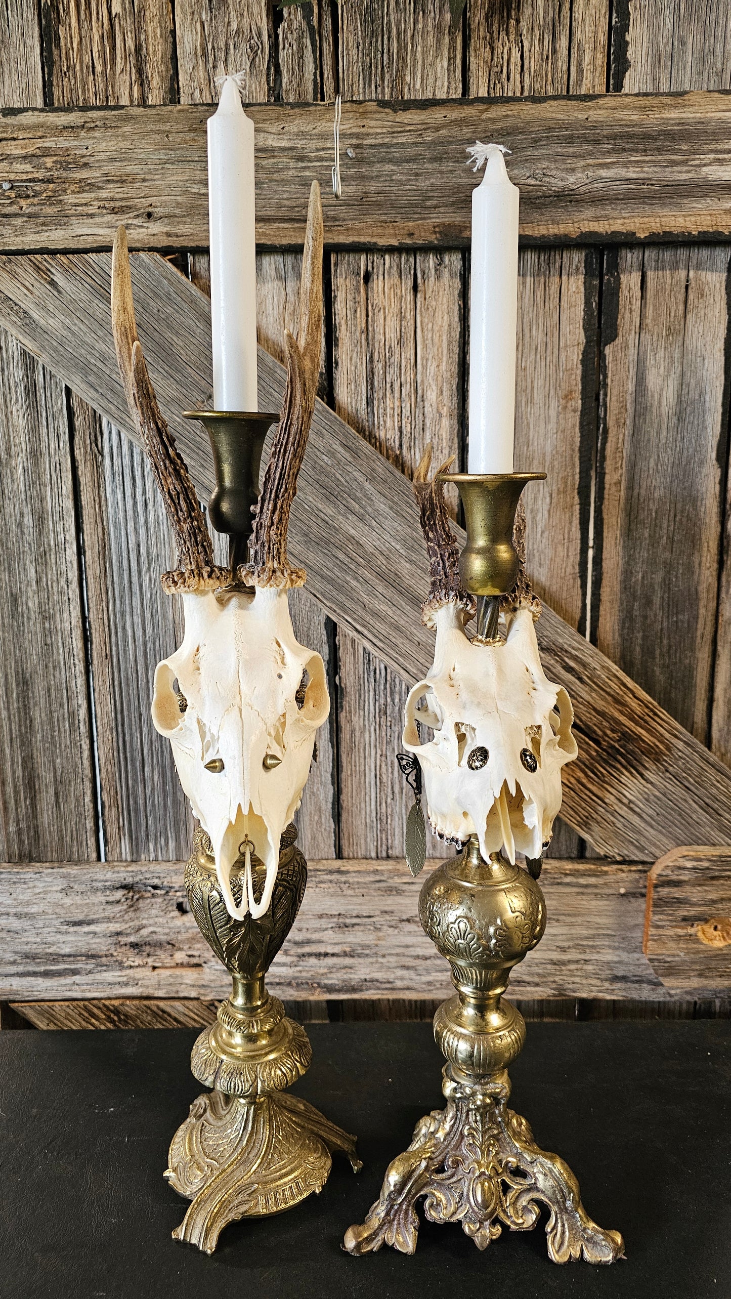Candle holder - real skull on vintage candle stick