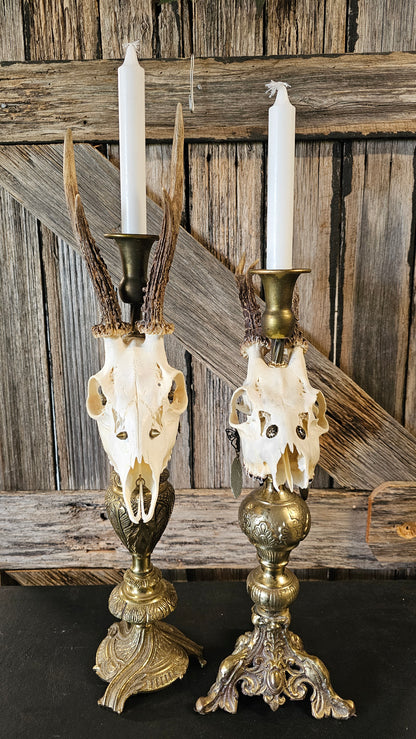 Candle holder - real skull on vintage candle stick