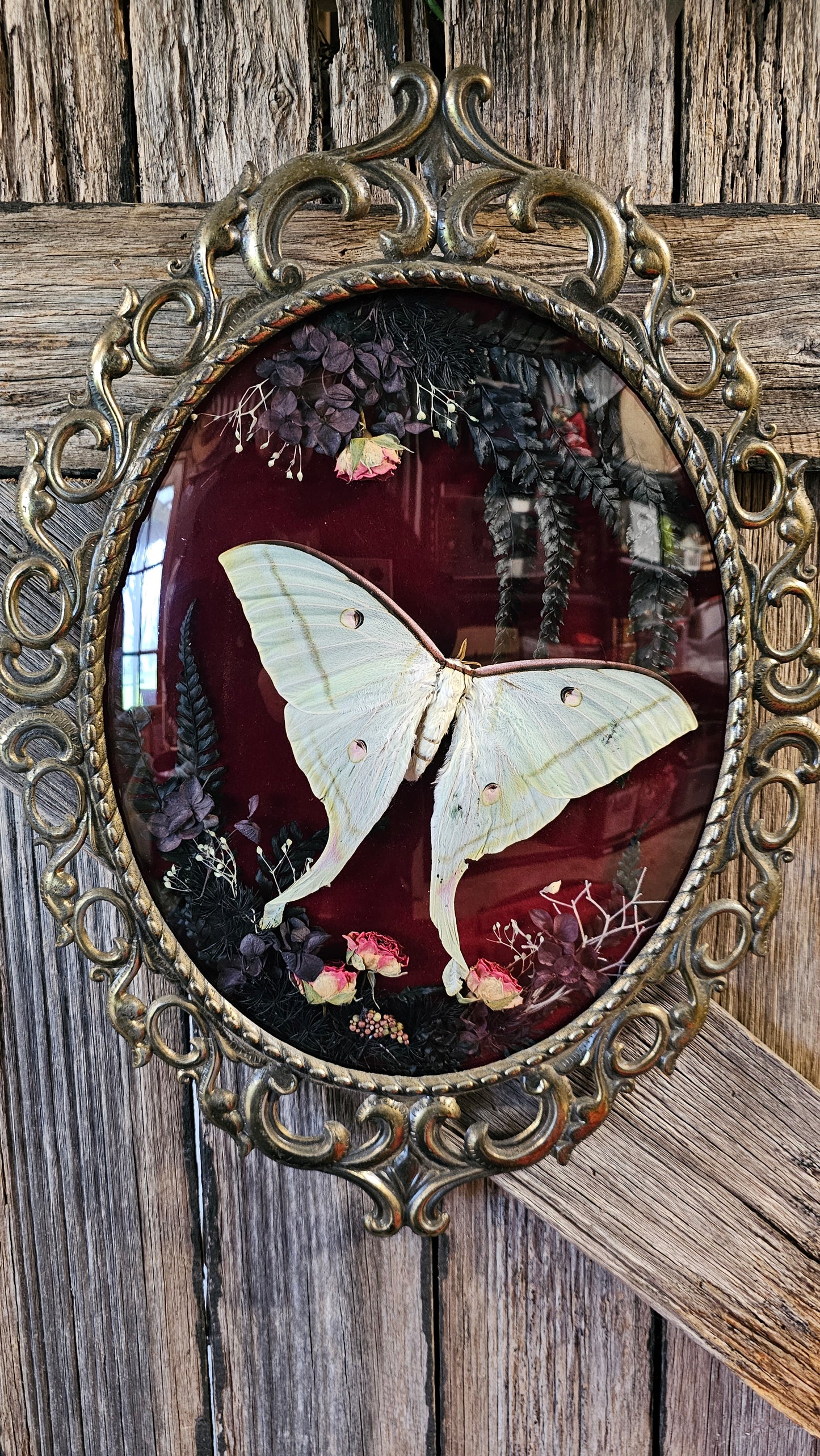 Frame vintage - Brass Italian Gothic bubble frame with butterflies