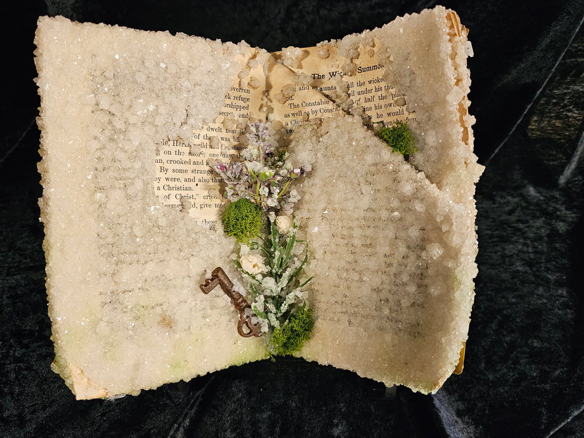 Tales from Chaucer (1930s) - crystalized vintage book