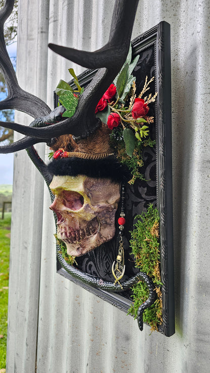 Deer antlers - 'Ancients Lost vi' fallow deer with human-sized skull and snake art