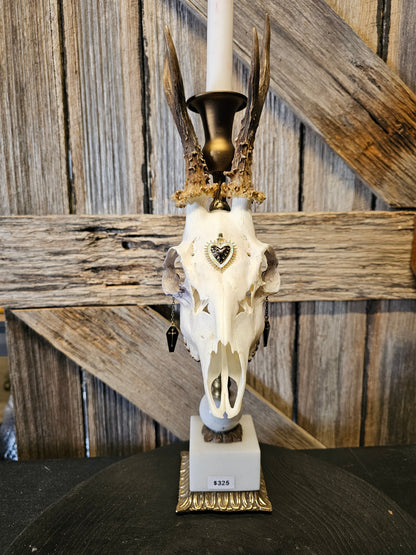 Candle holder - real roe deer skull on brass vintage candle stick