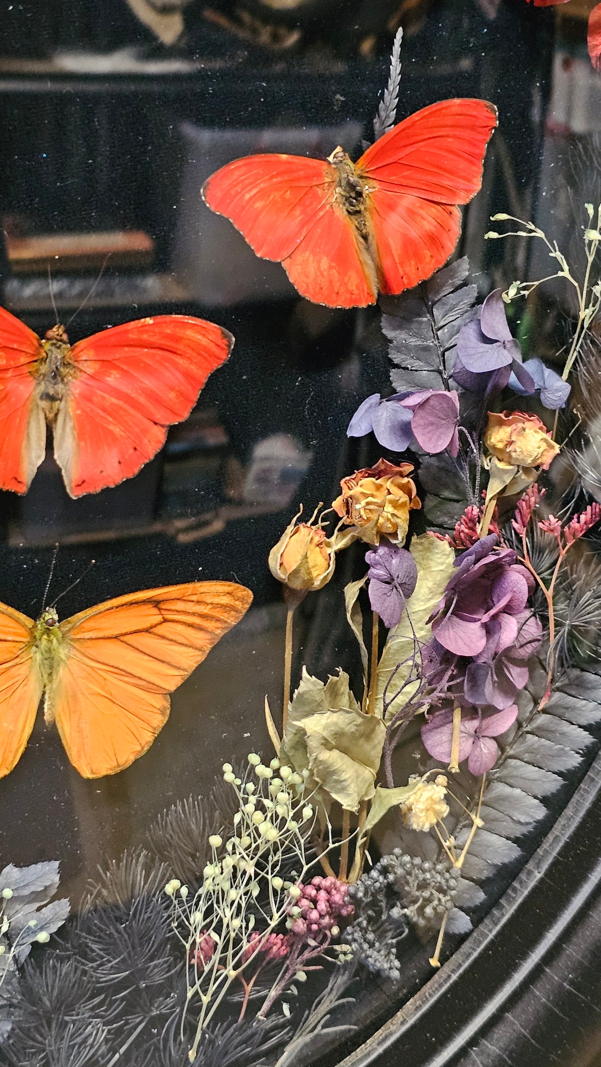 Frame vintage - with Red Sangria butterflies