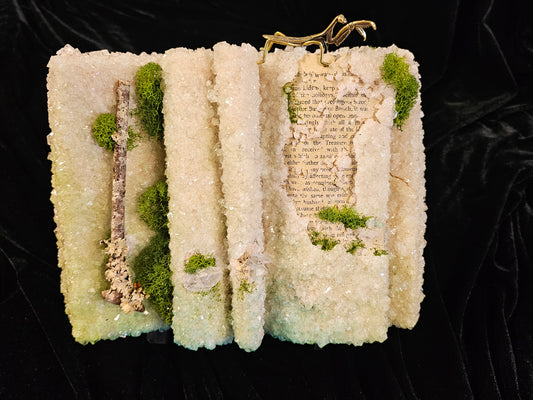 The Treasure of the Trevellyans (1961) - crystalized vintage book